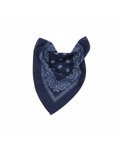 Paisley cotton bandana