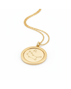 Medaillon-Anhänger 9 Karat Gold Zodiac