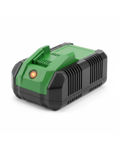 ForceMax 36V Ladegerät