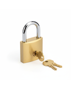 Brass padlock 50 mm FixMaster