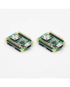 Raspberry Pi Pico W — WiFi, RP2040, Pack of 2